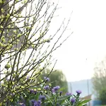 Direkt Am - Bodenseeresidenz In
