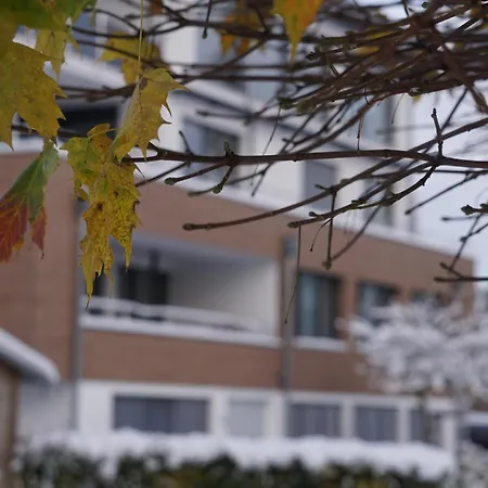 Direkt Am - Bodenseeresidenz In 보드만루드비히샤펜