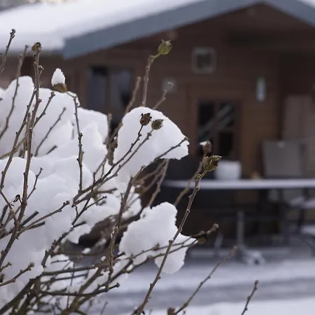 Direkt Am - Bodenseeresidenz In * Bodman-Ludwigshafen