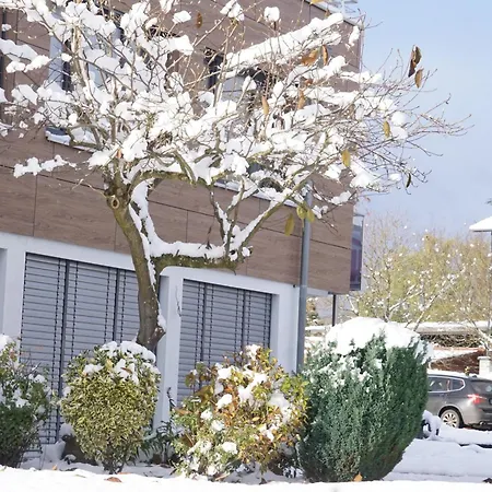 Direkt Am - Bodenseeresidenz In Διαμέρισμα Bodman-Ludwigshafen