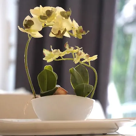 Direkt Am - Bodenseeresidenz In Bodman-Ludwigshafen