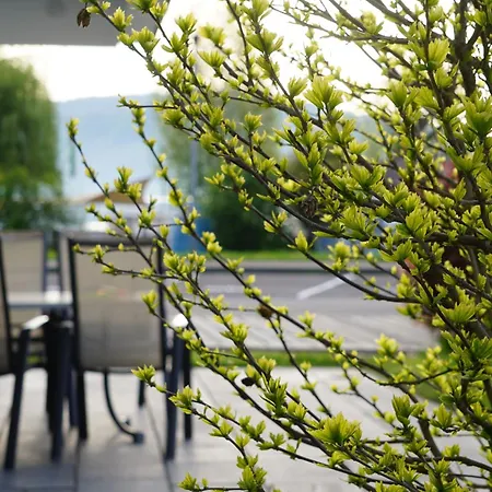 Direkt Am - Bodenseeresidenz In